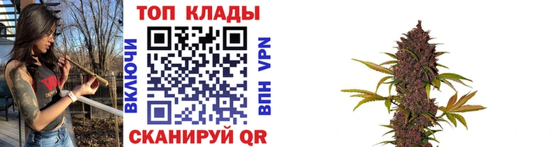 Купить наркотики цена Мураши МАРИХУАНА  АМФ  ГАШИШ  мега ССЫЛКА  A PVP  КОКАИН  БУТИРАТ 