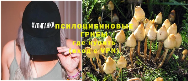 крисы Богородск