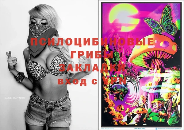 дурь Богородицк